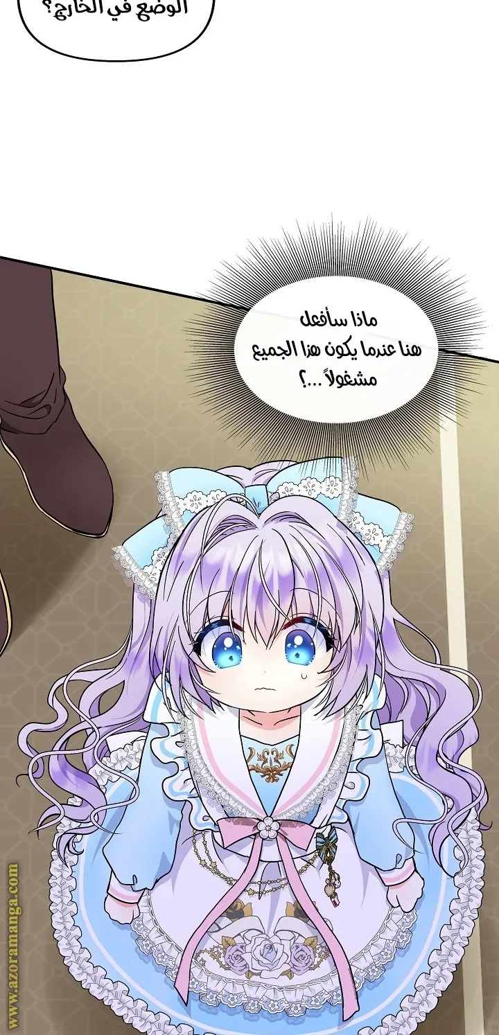 الصفحة 17