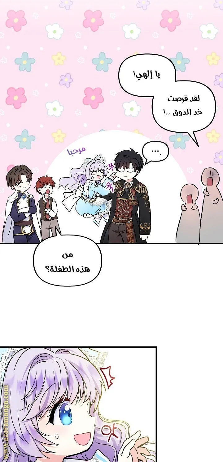 الصفحة 24