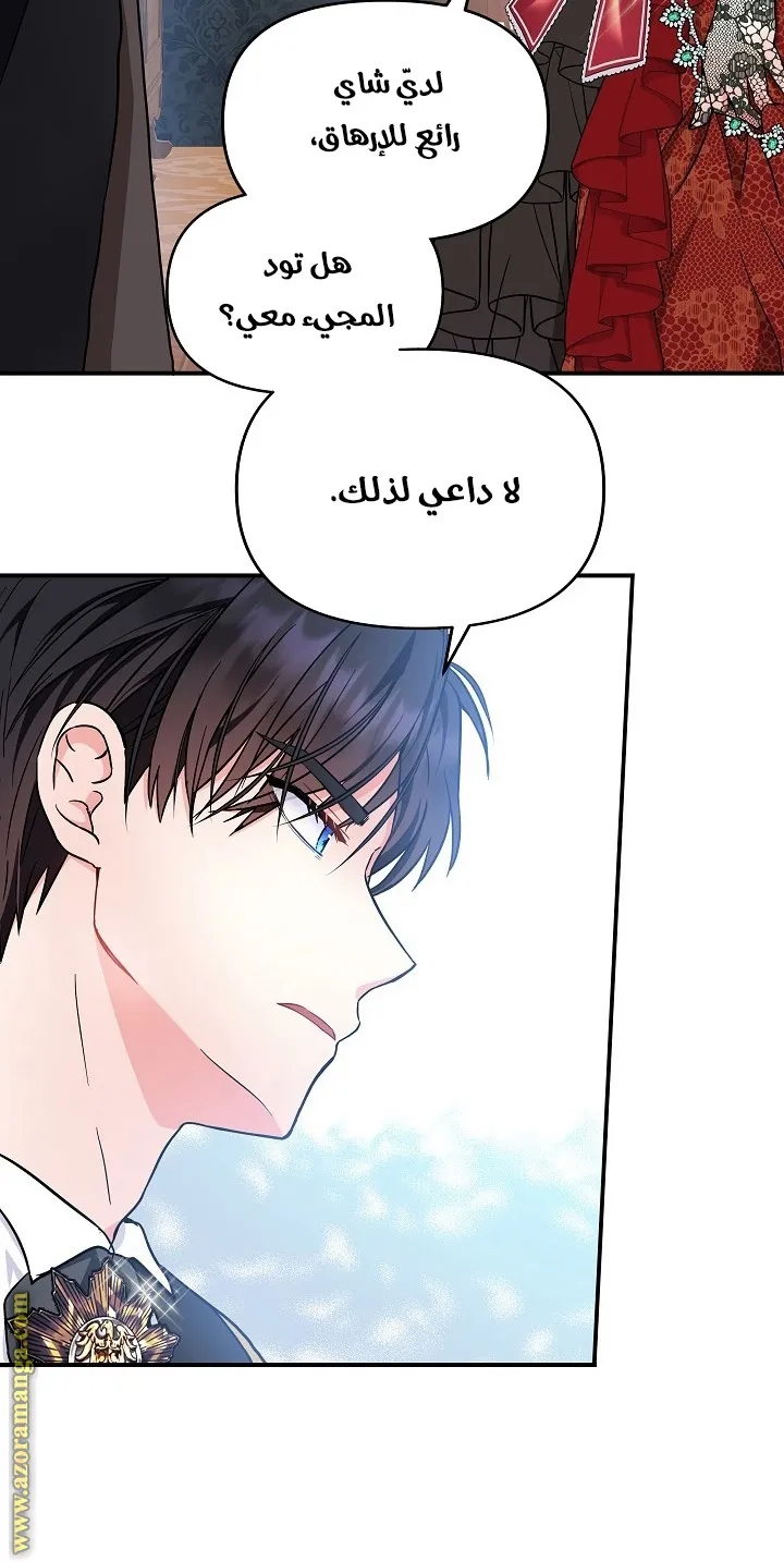 الصفحة 45