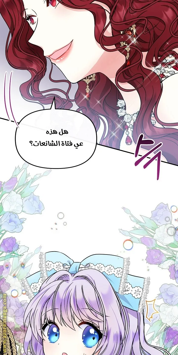 الصفحة 47
