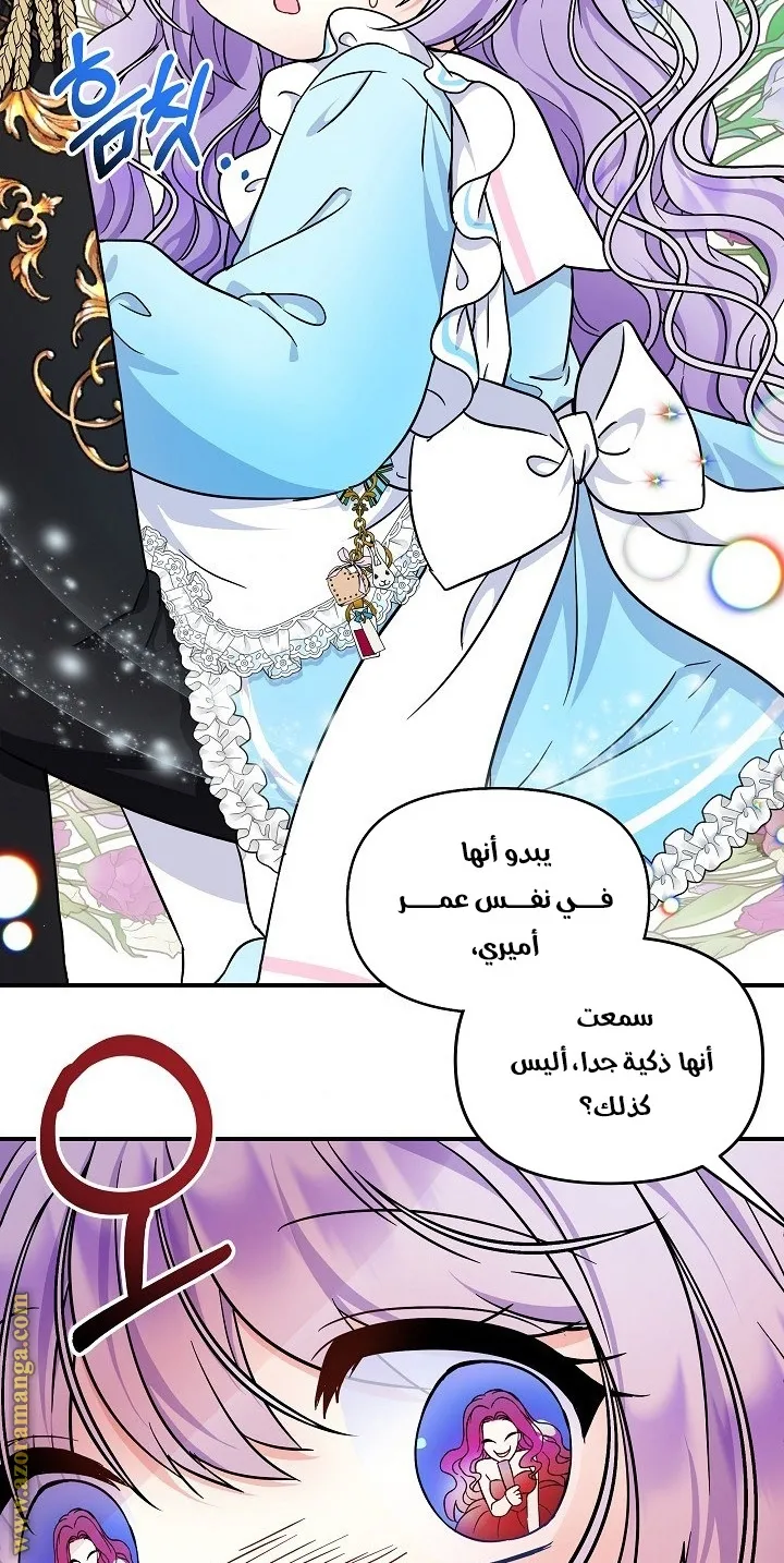 الصفحة 48