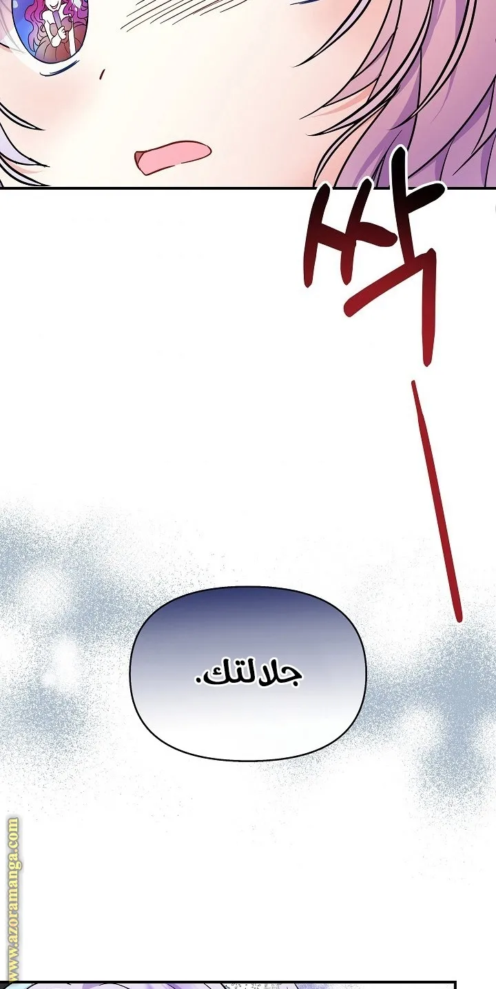 الصفحة 49