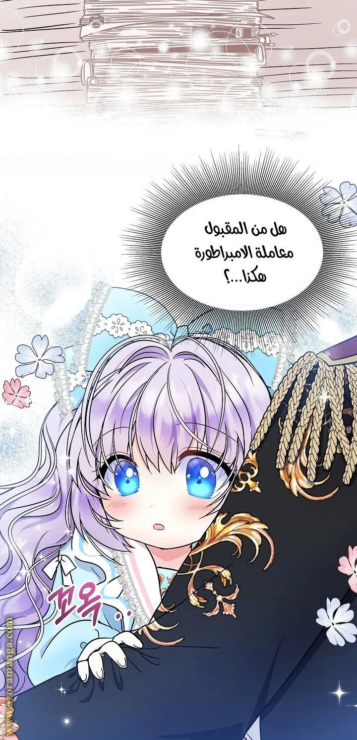 الصفحة 52