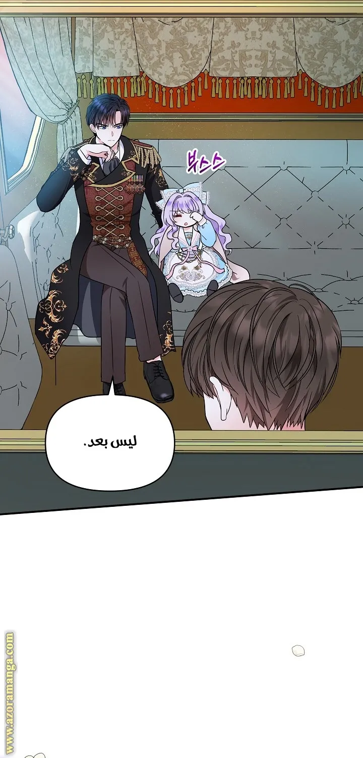 الصفحة 67
