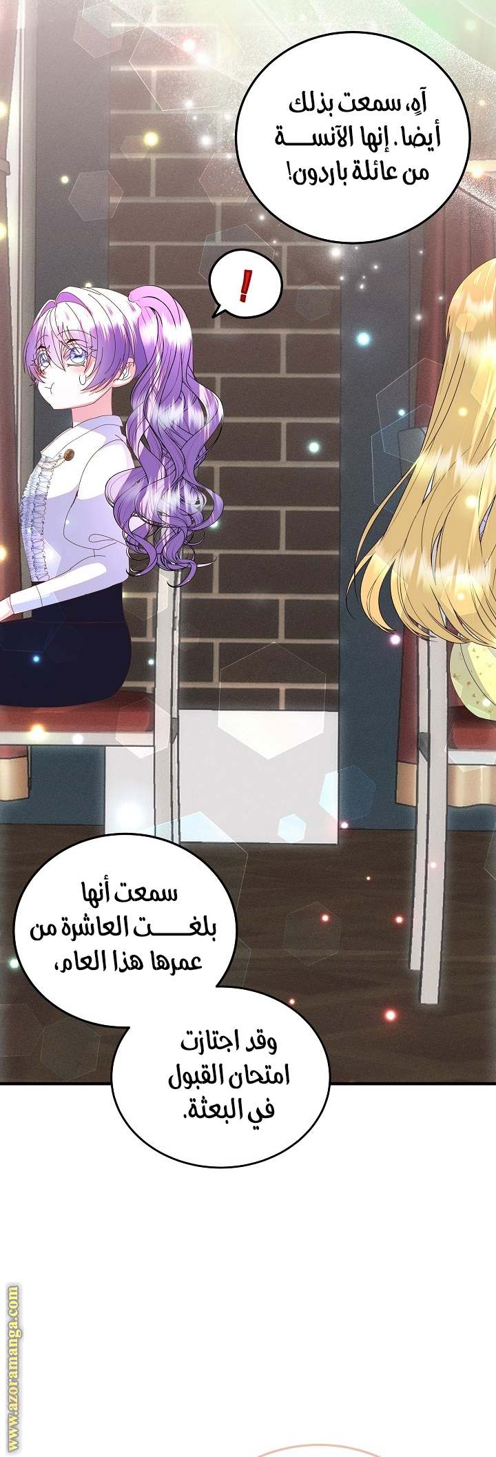 الصفحة 17