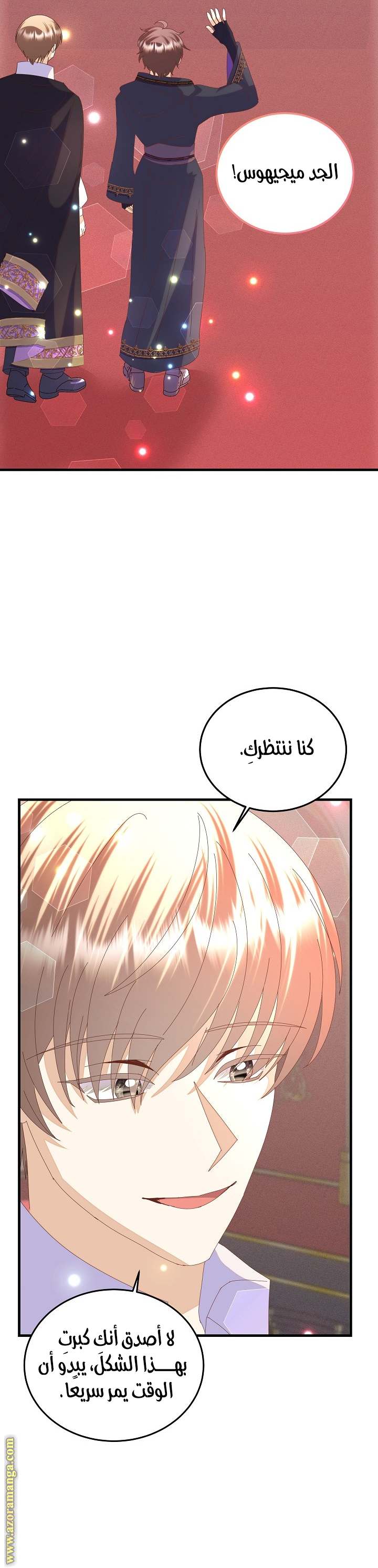 الصفحة 26