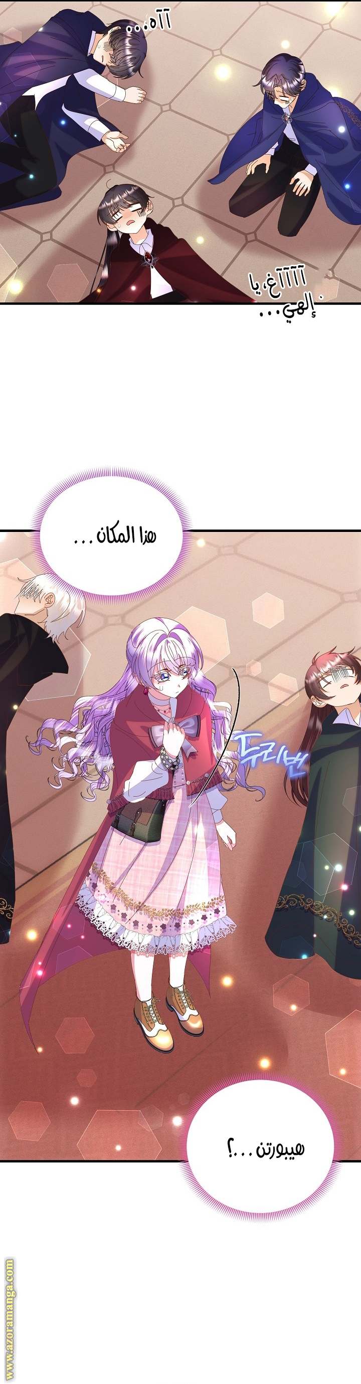 الصفحة 47