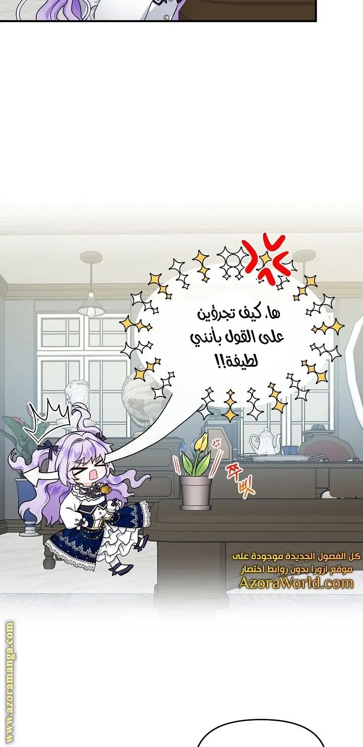 الصفحة 19