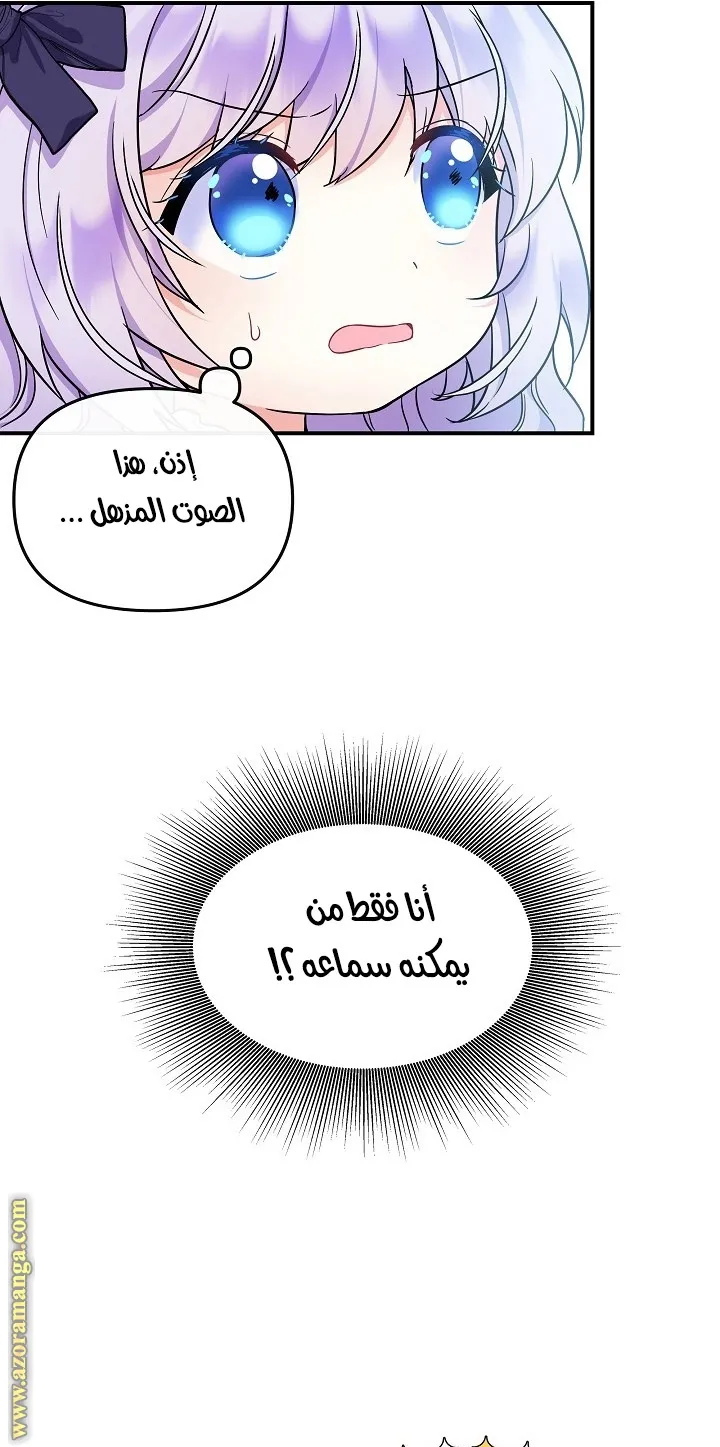 الصفحة 21