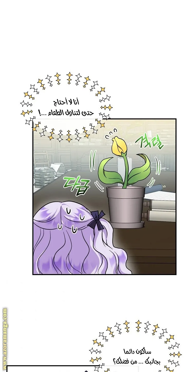 الصفحة 24