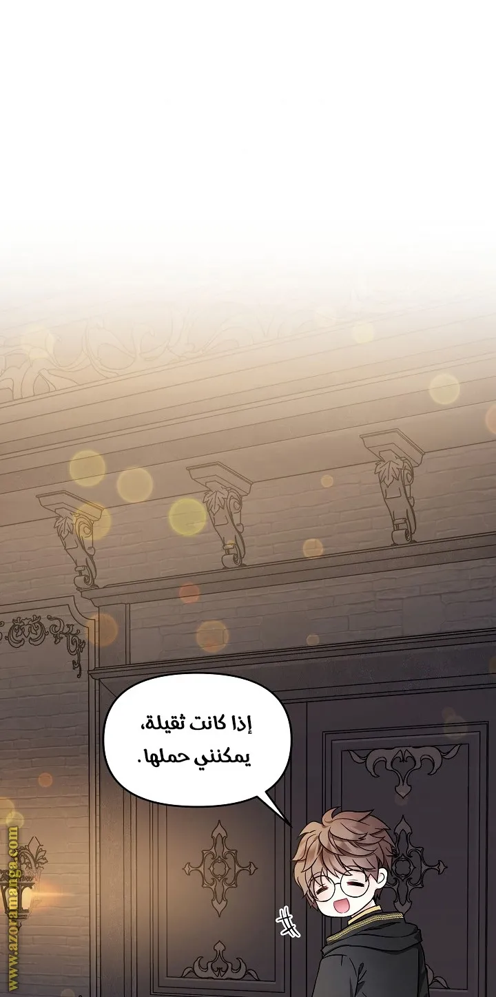 الصفحة 26