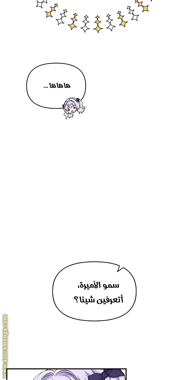 الصفحة 29