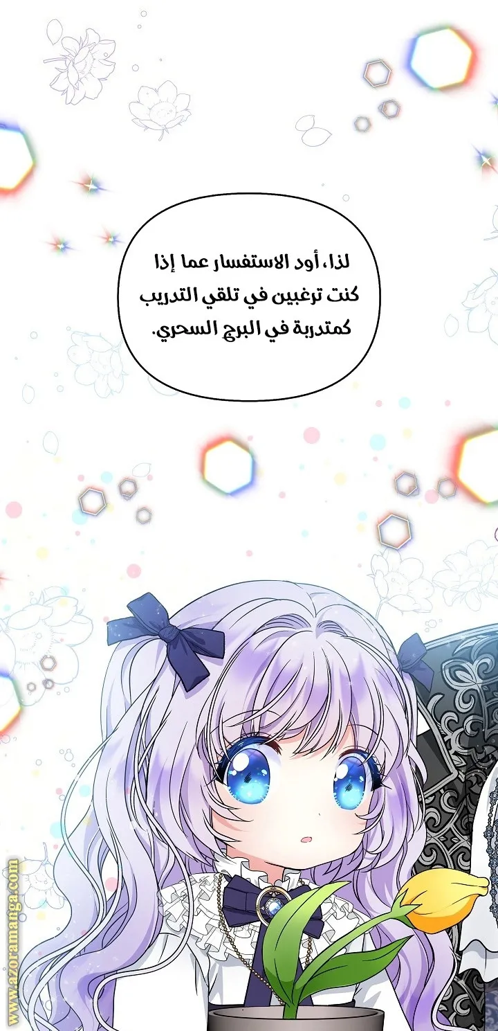 الصفحة 41