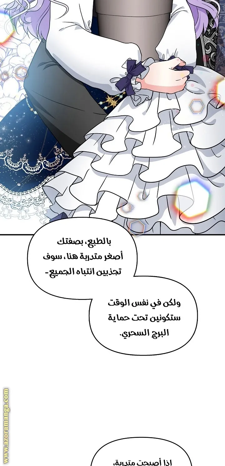 الصفحة 42