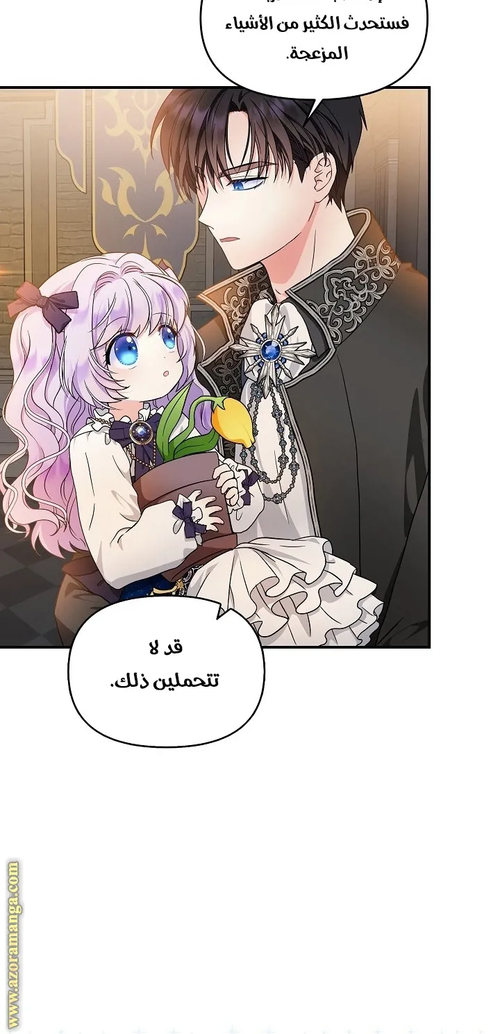 الصفحة 43