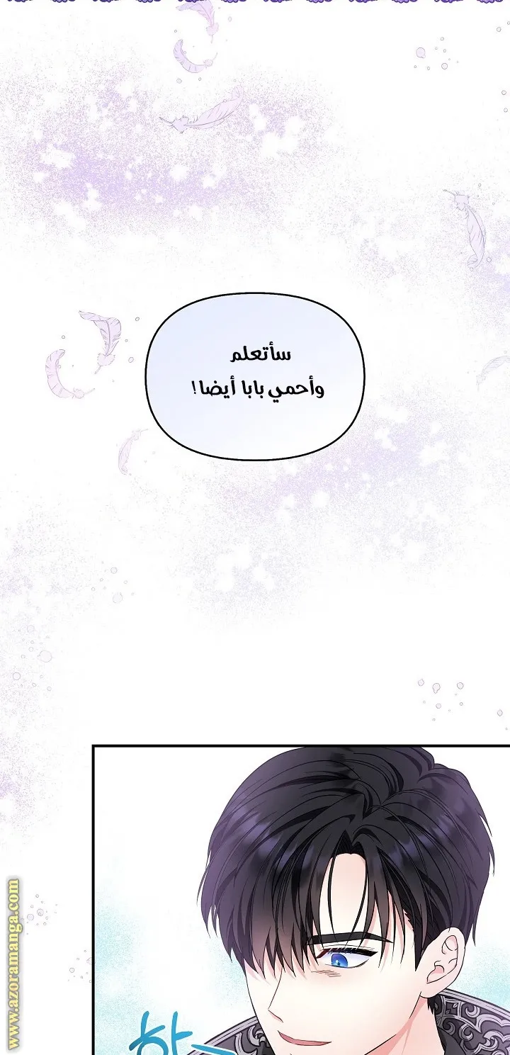 الصفحة 45