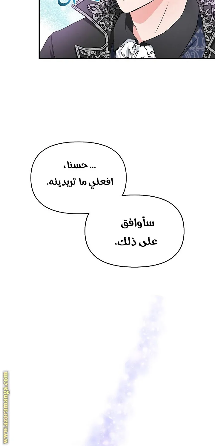 الصفحة 46