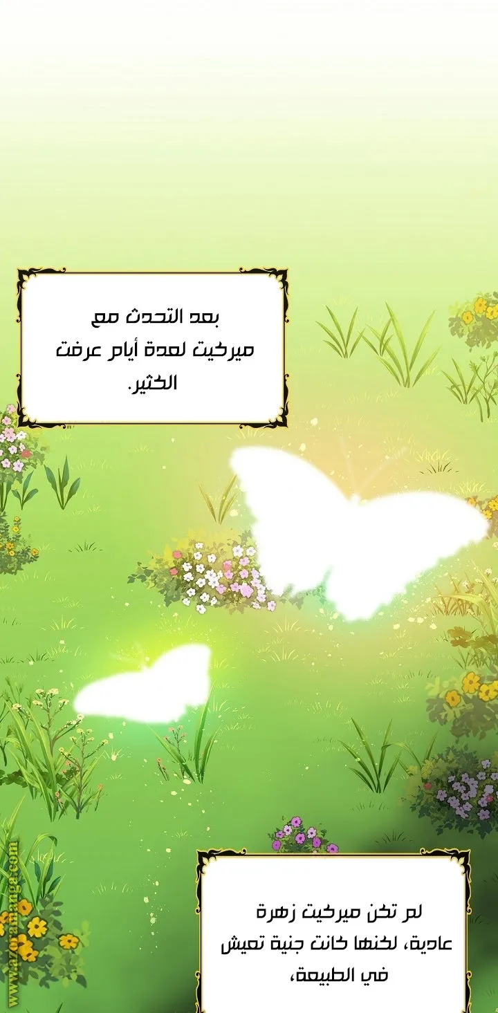 الصفحة 55