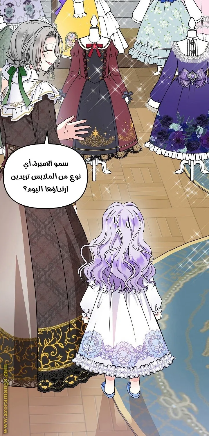 الصفحة 62