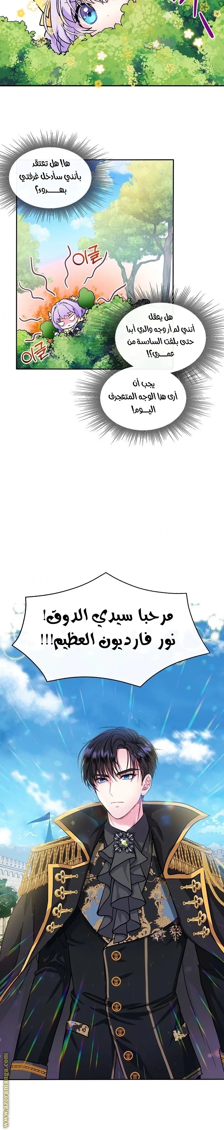الصفحة 17