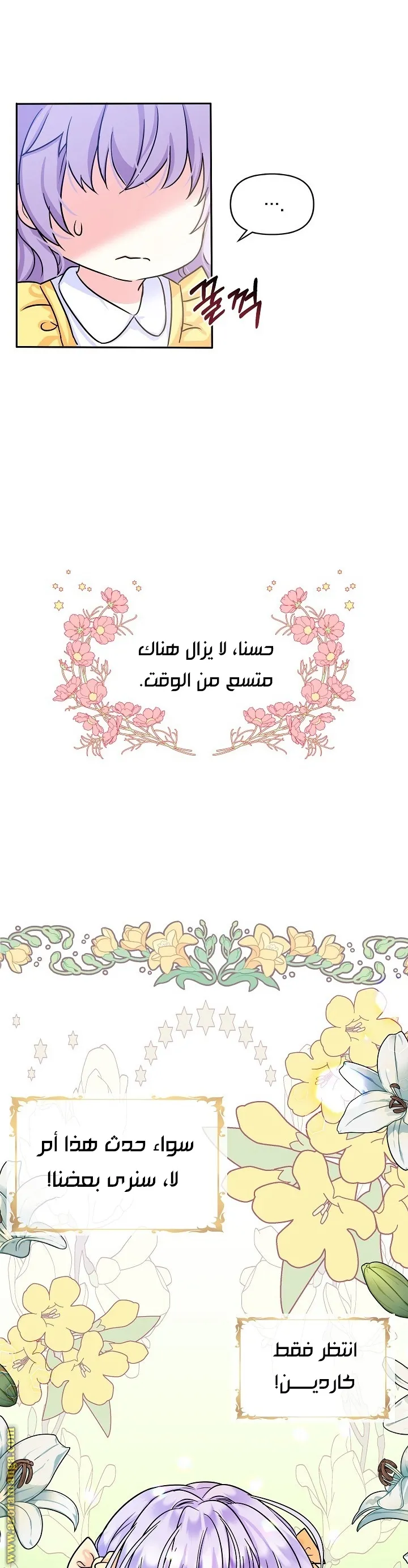 الصفحة 29