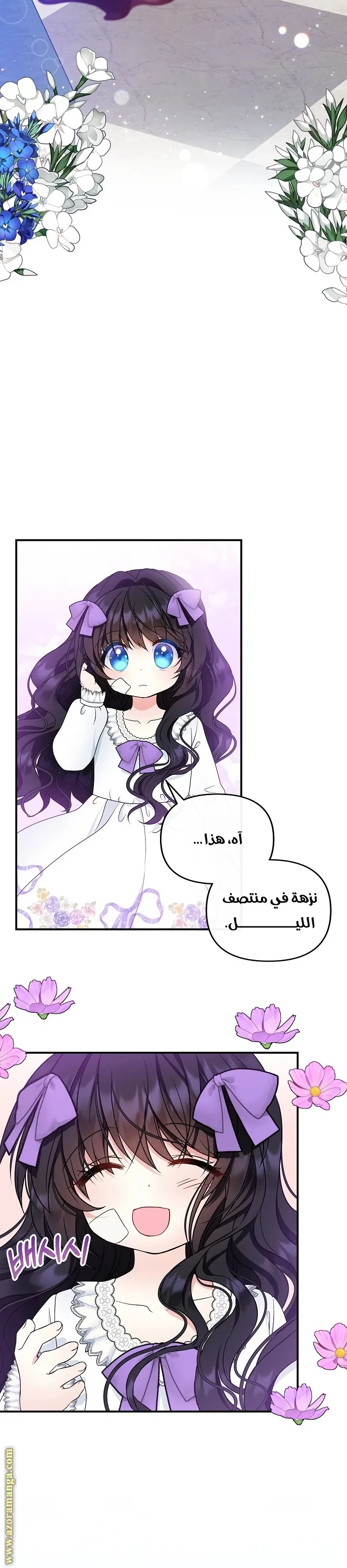 الصفحة 27