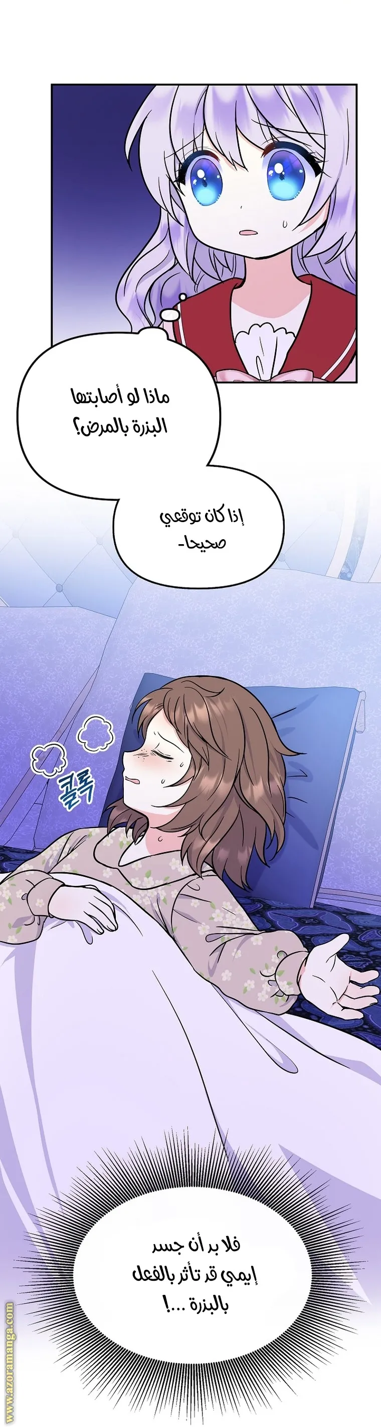 الصفحة 27