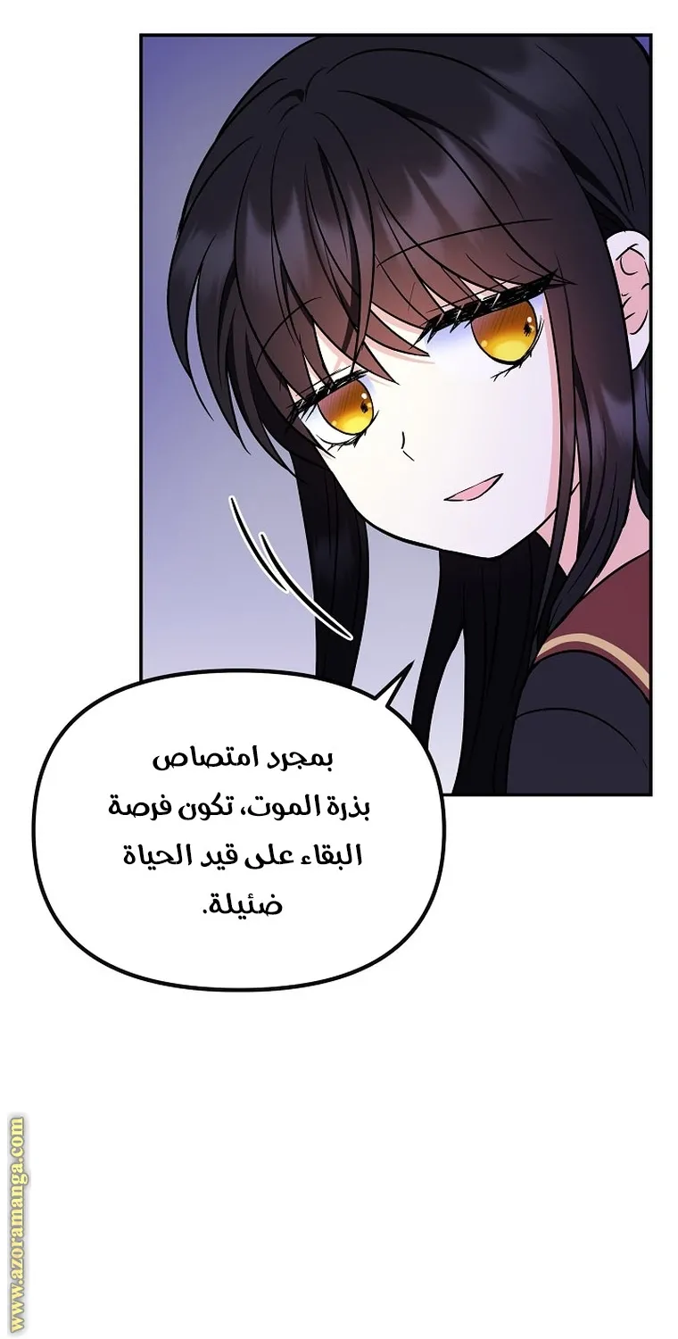 الصفحة 36