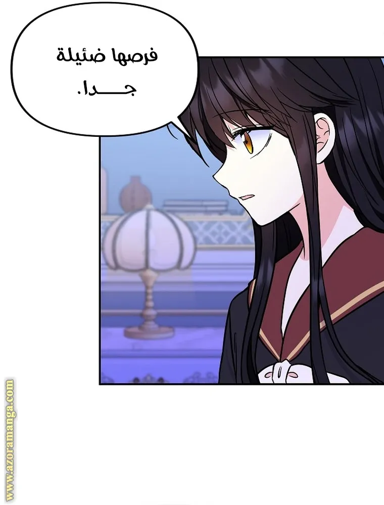 الصفحة 39