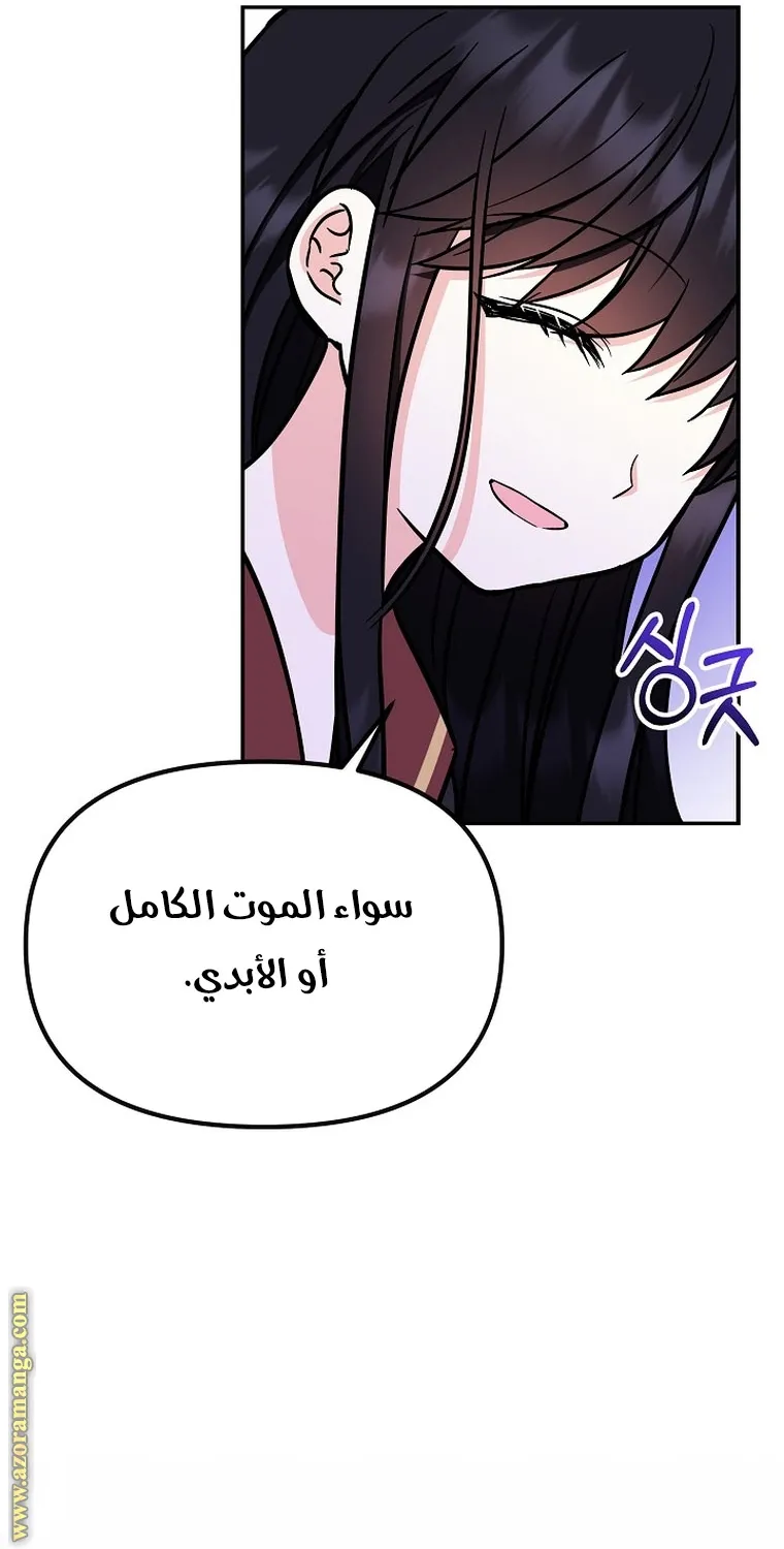 الصفحة 47