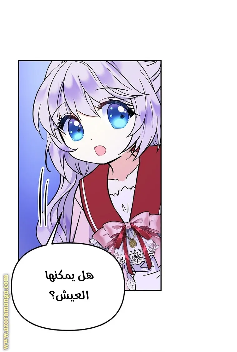 الصفحة 49