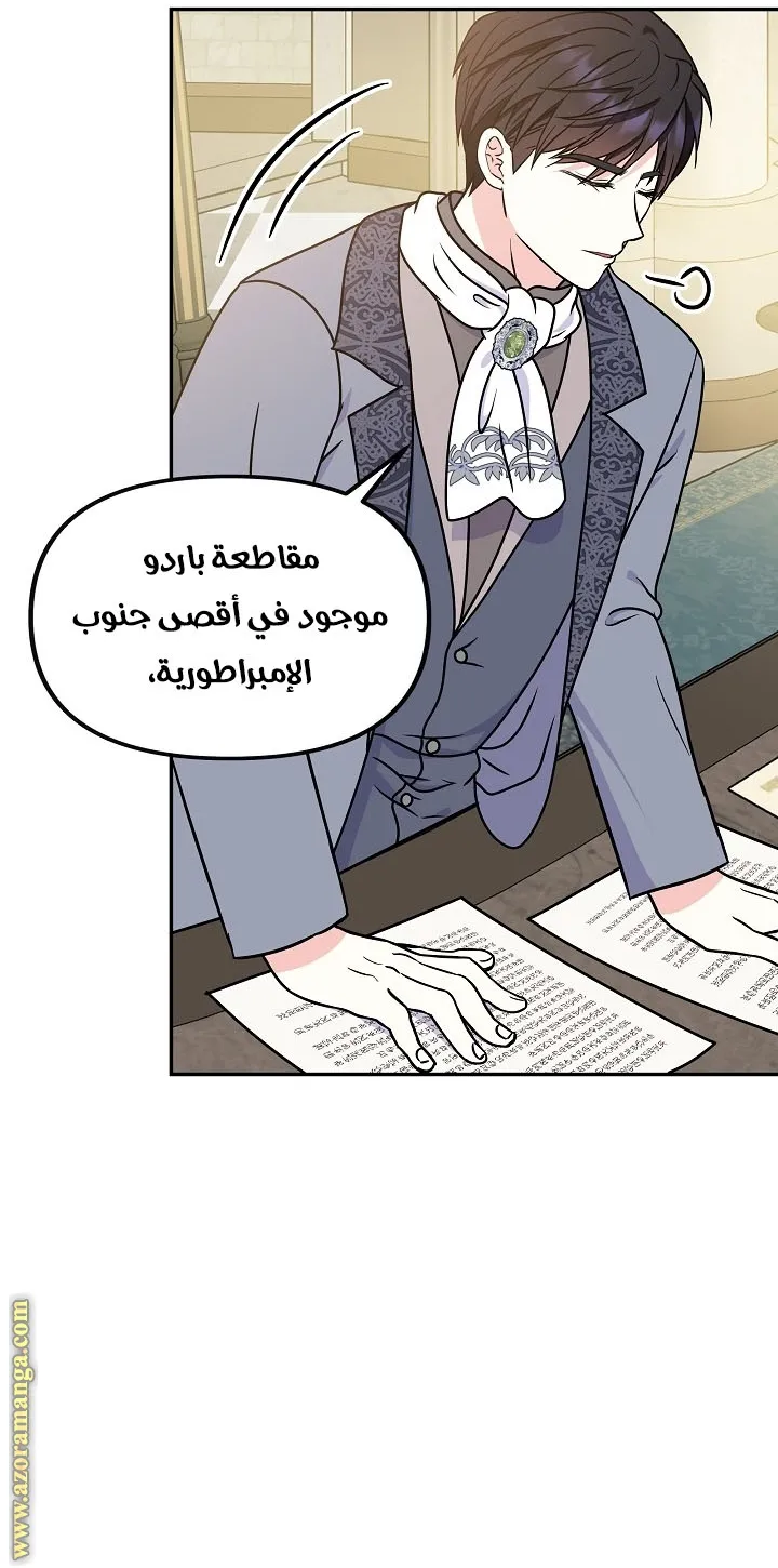 الصفحة 26