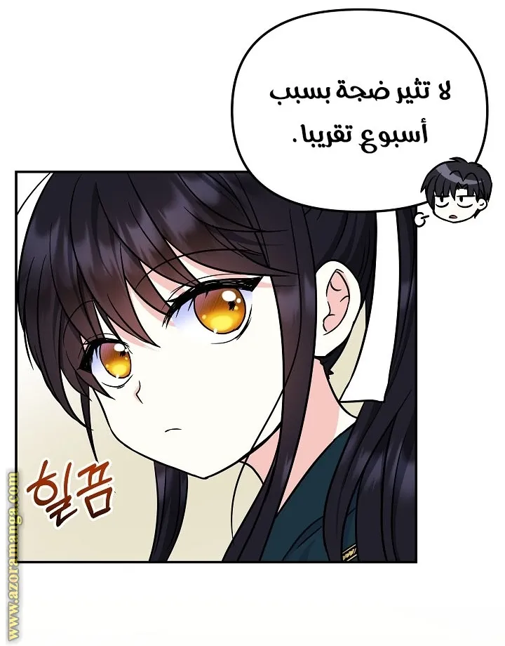 الصفحة 39