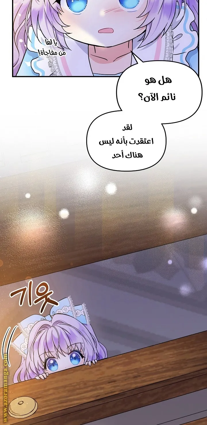 الصفحة 26