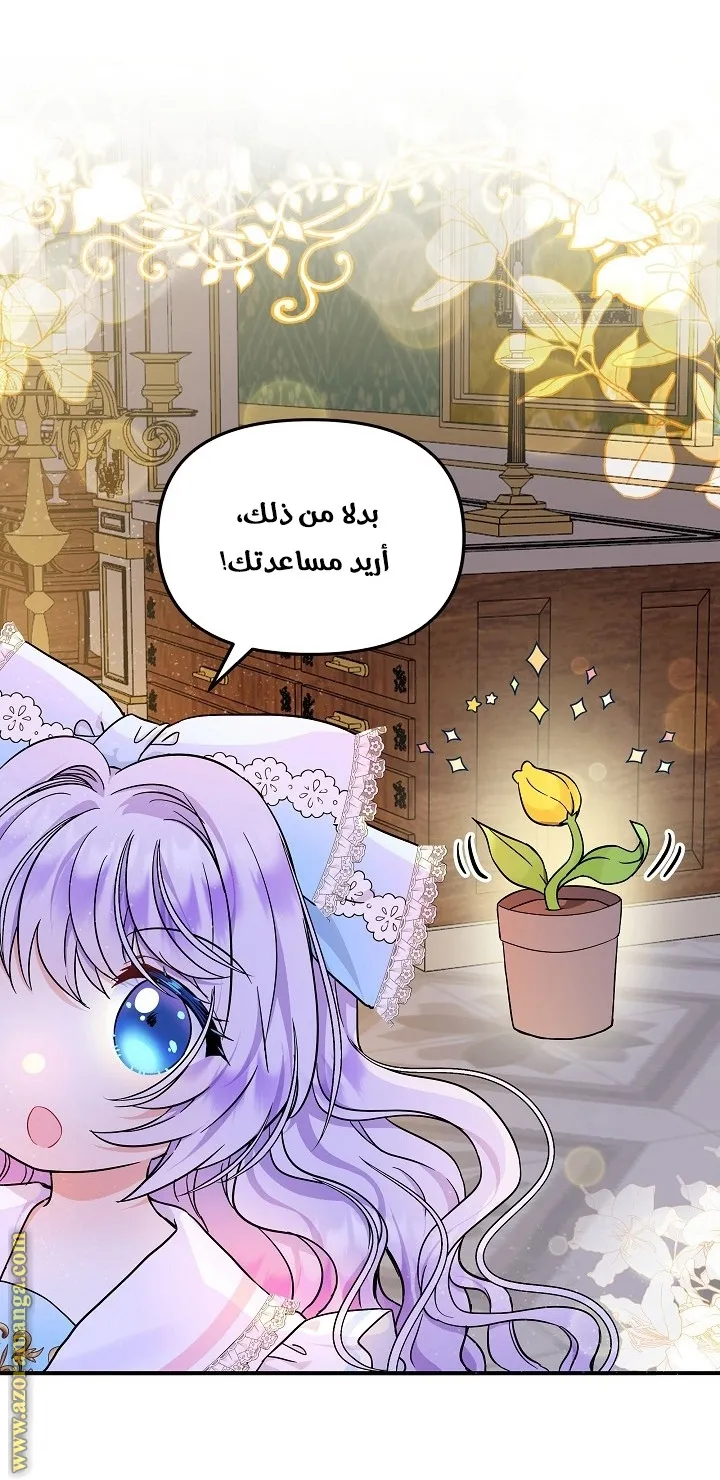 الصفحة 38