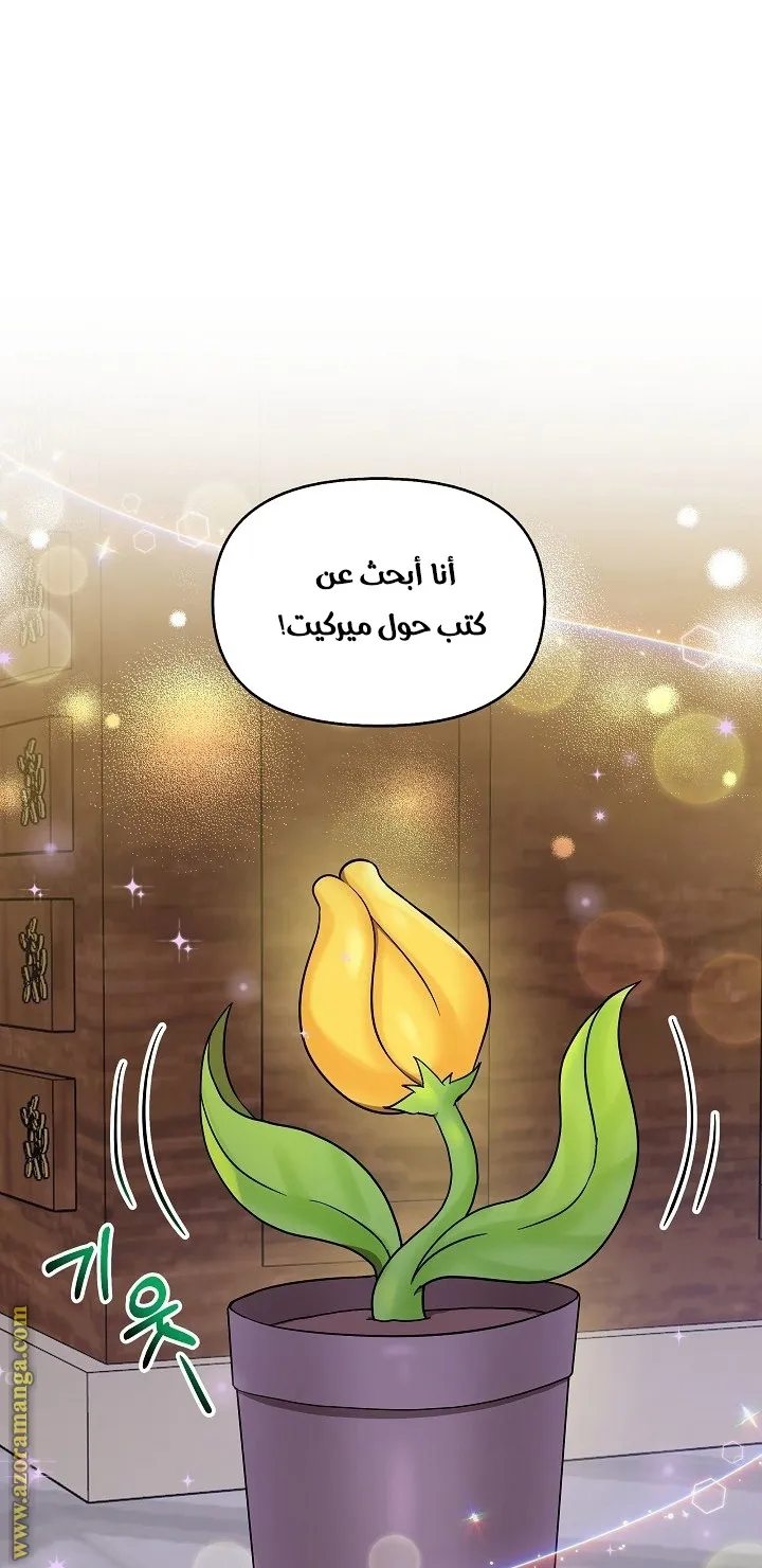الصفحة 39