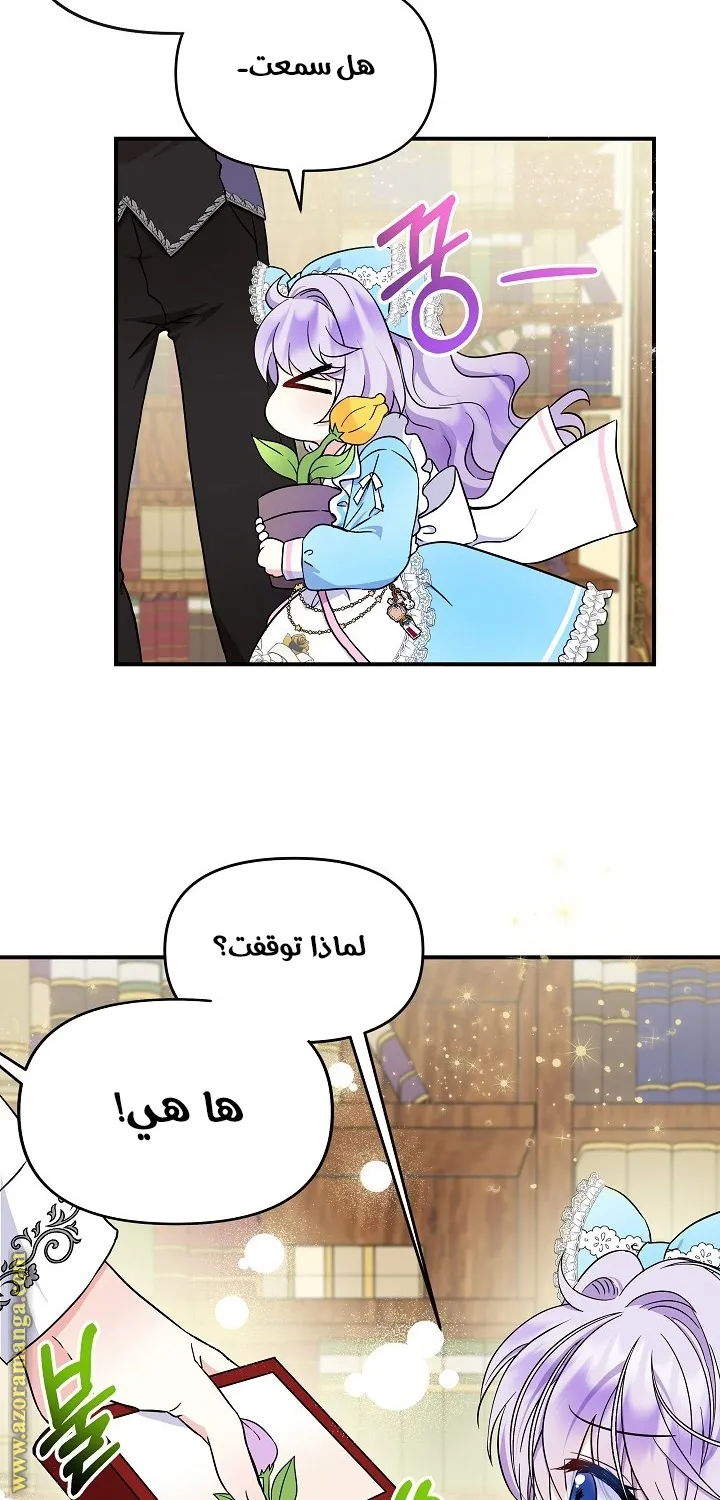 الصفحة 44