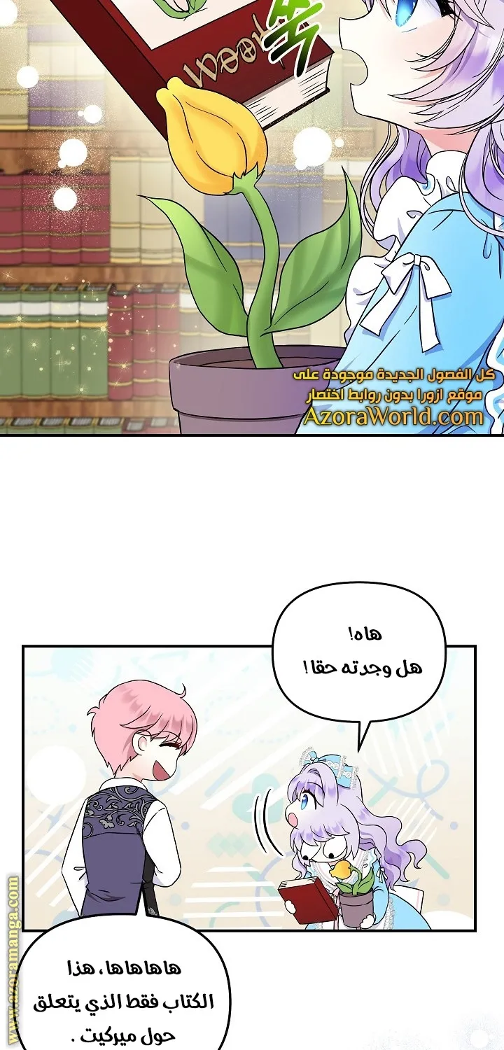 الصفحة 45