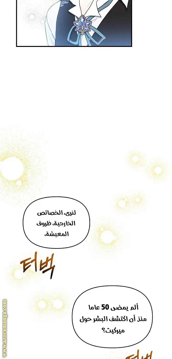 الصفحة 48