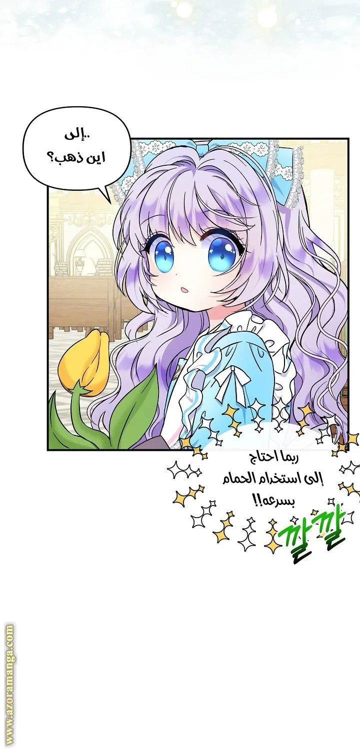الصفحة 51