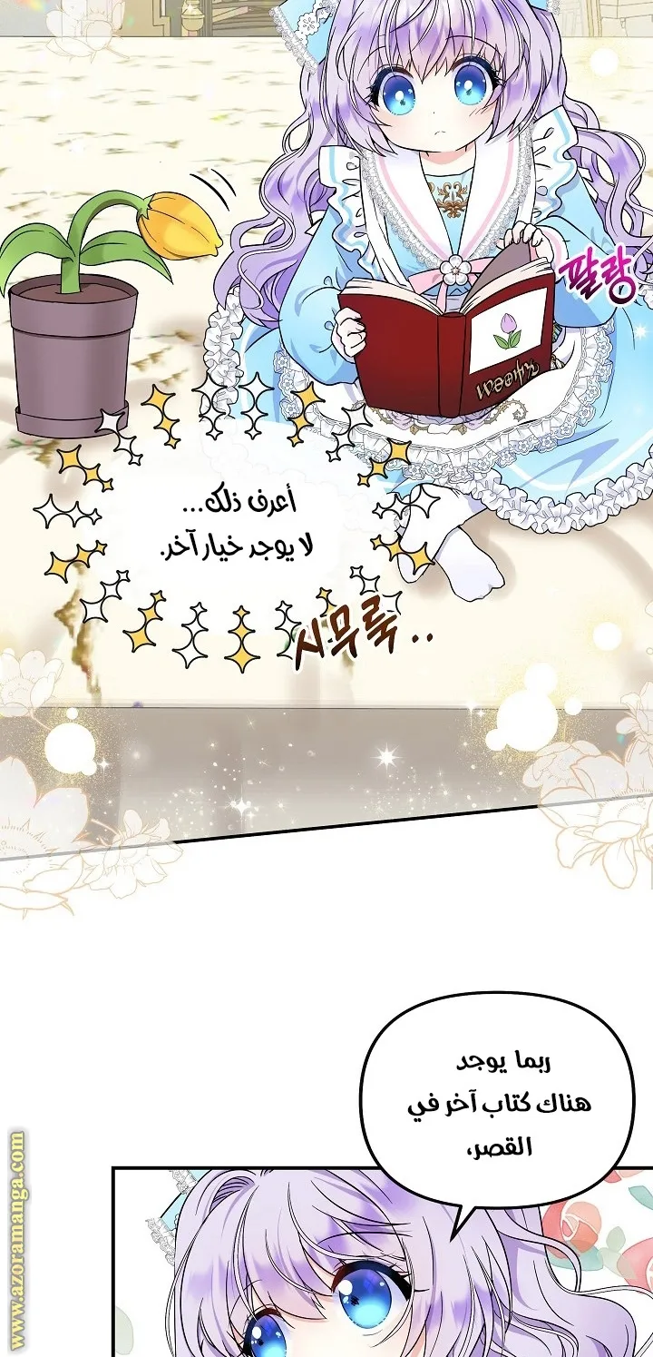الصفحة 53