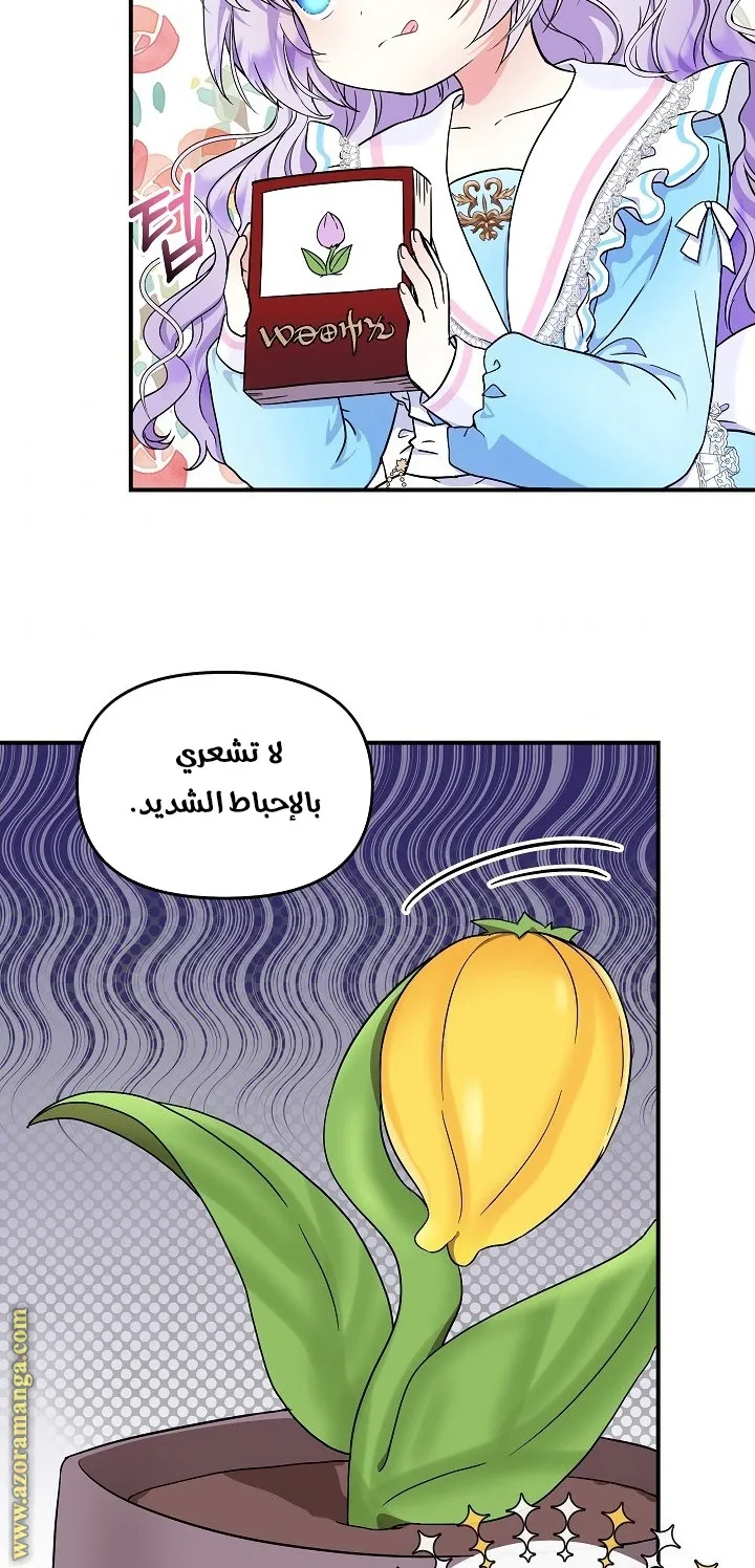 الصفحة 54