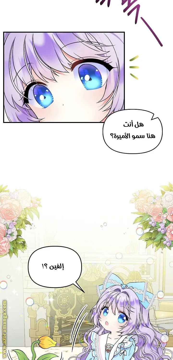 الصفحة 56