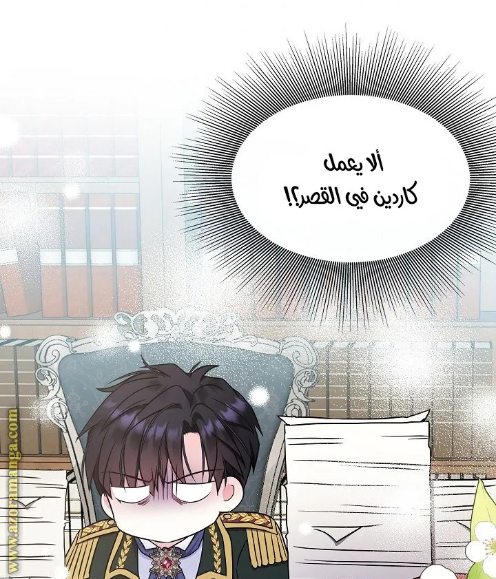 الصفحة 63