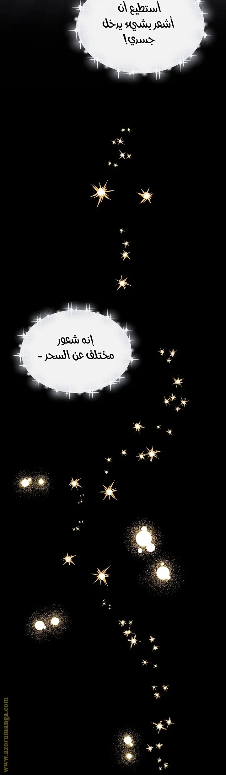 الصفحة 25