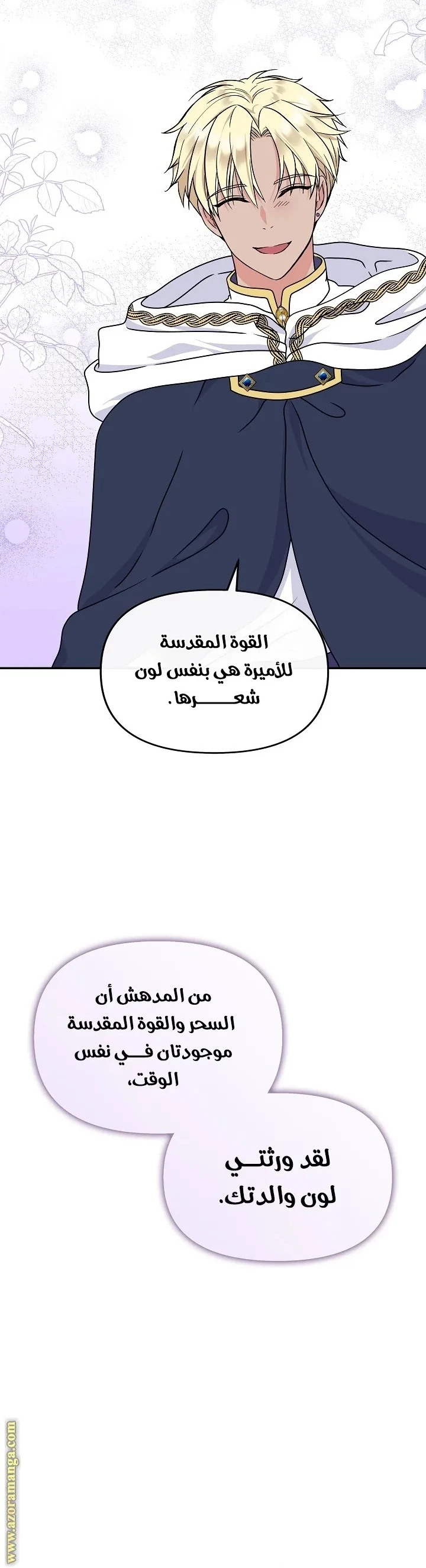 الصفحة 29