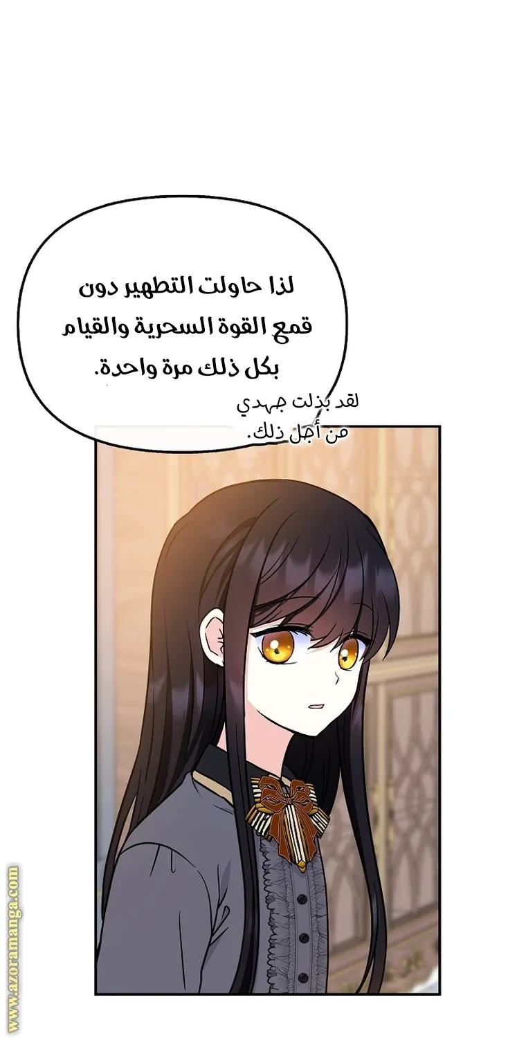 الصفحة 52