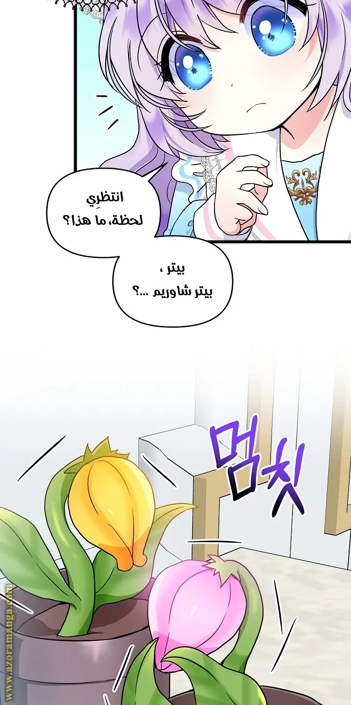 الصفحة 24