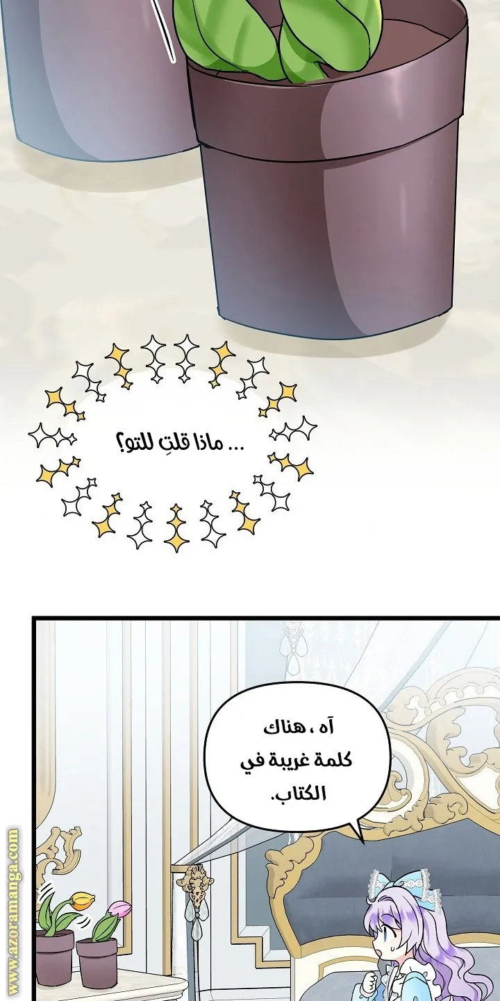 الصفحة 25