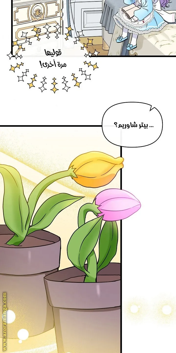 الصفحة 26